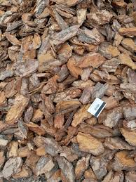 kora sosnowa sortowana